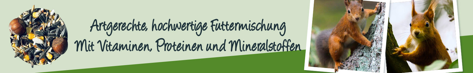 Artgerechtes, hochwertiges Futter für Eichhörnchen - Mit Vitaminen, Proteinen und Mineralstoffen Artgerechtes, hochwertiges Futter für Eichhörnchen - Mit Vitaminen, Proteinen und Mineralstoffen
