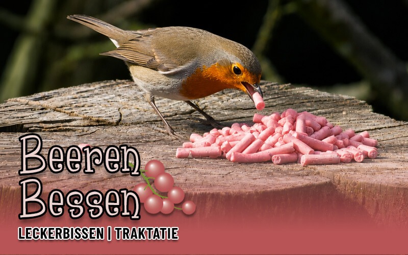 Leckerbissen mit Beeren von Aniculis - Jetzt bestellen