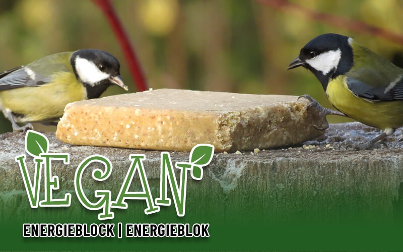 Vegan - Energieblock für Wildvögel mit pflanzlichen Fetten - Alles für Vögel Vegan - Energieblock für Wildvögel mit pflanzlichen Fetten - Alles für Vögel