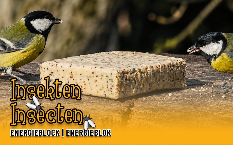 Energieblöcke für Wildvögel - langlebig, ergiebig und ideal für Futterspender - Alles für Vögel Energieblöcke für Wildvögel - langlebig, ergiebig und ideal für Futterspender - Alles für Vögel