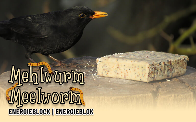 Mehlwurm Energieblock für Wildvögel von Aniculis - Hochwertige Zutaten - und die Vögel lieben sie Mehlwurm Energieblock für Wildvögel von Aniculis - Hochwertige Zutaten - und die Vögel lieben sie