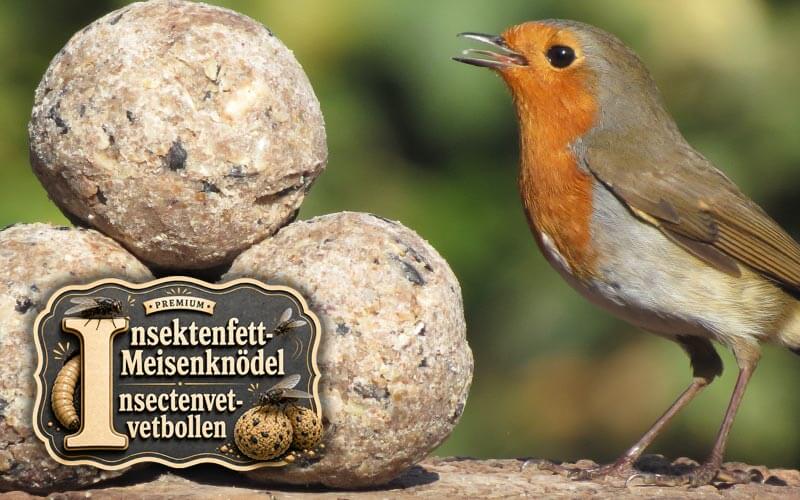 Insektenfett-Meisenknödel von Aniculis - Ohne Netz Insektenfett-Meisenknödel von Aniculis - Ohne Netz