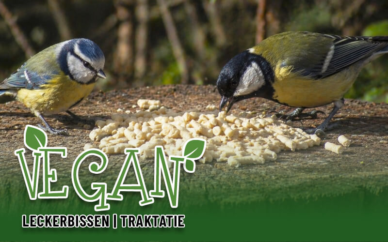 Hochwertige Fett-Leckerbissen - Vegetarisch, nachhaltig, gesund und lecker