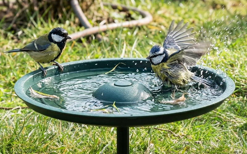 Aniculis MultiChoice Vogelbad - Ideal für Gärten, Balkone... Aniculis MultiChoice Vogelbad - Ideal für Gärten, Balkone...