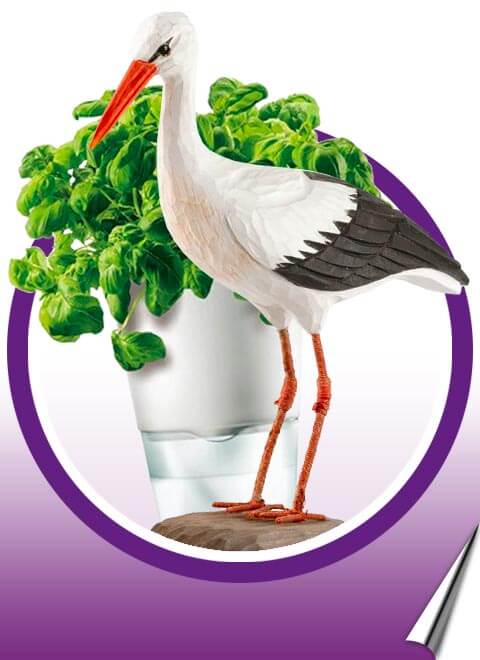 Von gemütlichen Kerzen bis zu stilvoller Wohndekoration - hier findest du alles, um dein Interieur perfekt zu machen!